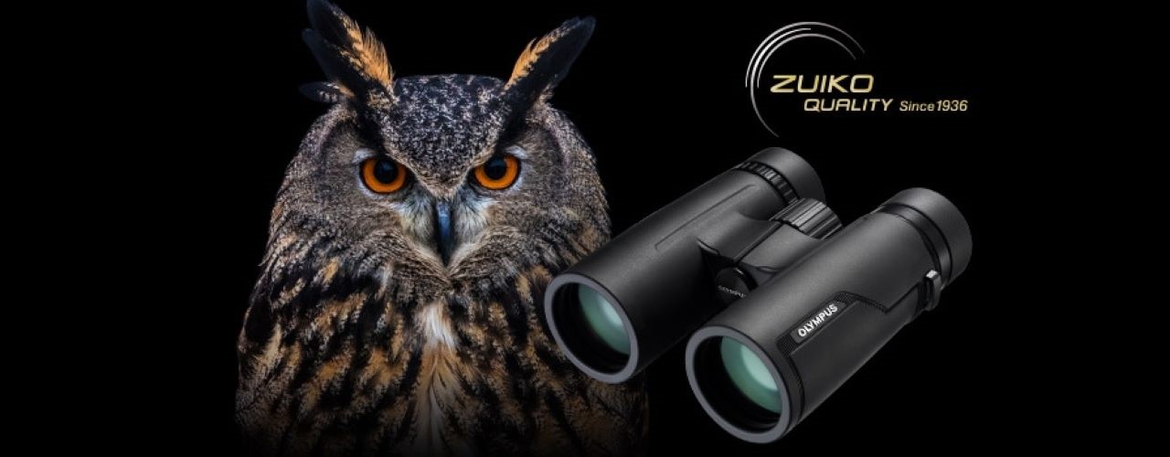 Billede af en ugle og en Olympus kikkert