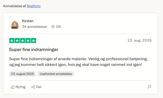 Sk&aelig;rmbillede af Trustpilot anmeldelse og link til siden